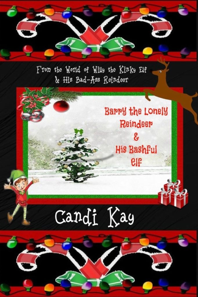 Book Cover: Barry the Lonely Reindeer & His Bashful Elf (#4)